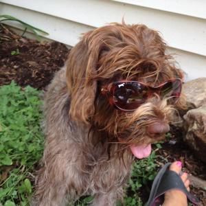 Meet your Posher, Lisa